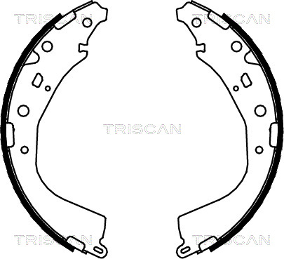 TRISCAN Fékpofa 810013053_TRIS