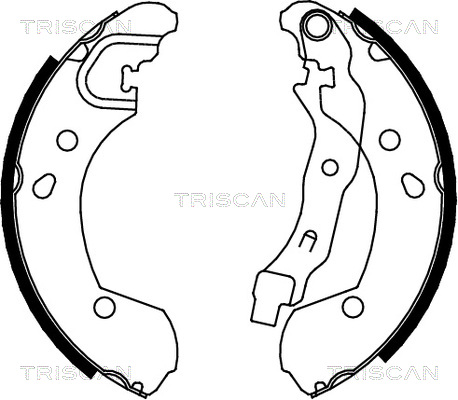 TRISCAN Fékpofa 810014002_TRIS