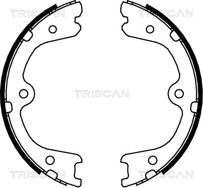 TRISCAN Fékpofa 810014008_TRIS