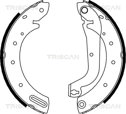 TRISCAN Fékpofa 810014596_TRIS