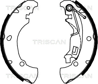 TRISCAN Fékpofa 810015017_TRIS