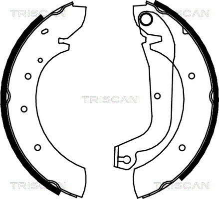 TRISCAN Fékpofa 810015480_TRIS