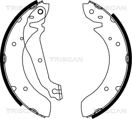 TRISCAN Fékpofa 810018013_TRIS