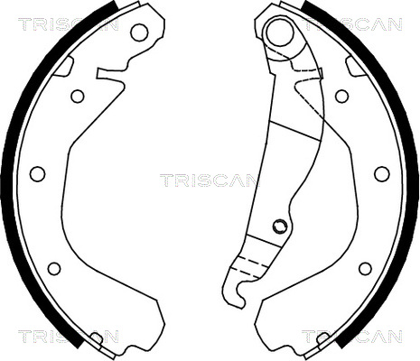 TRISCAN Fékpofa 810024413_TRIS