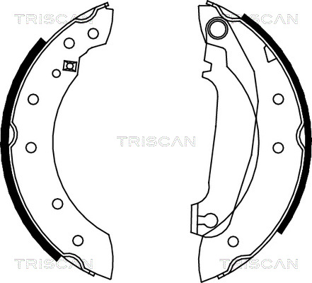 TRISCAN Fékpofa 810027516_TRIS