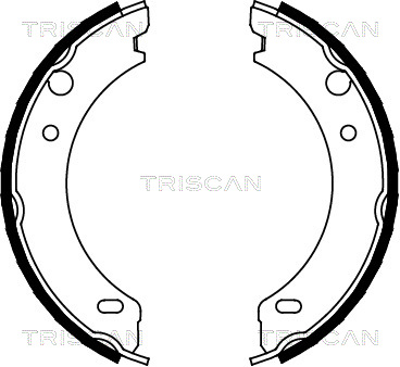 TRISCAN Fékpofa 810027538_TRIS