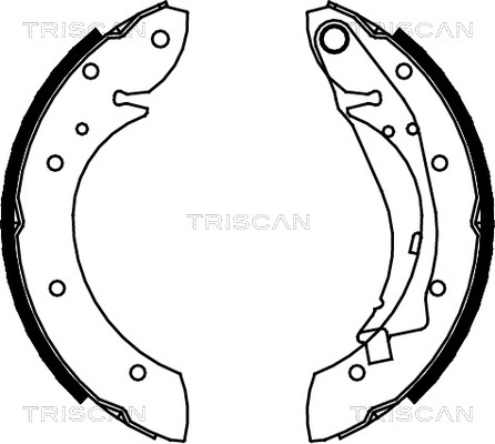 TRISCAN Fékpofa 810028598_TRIS