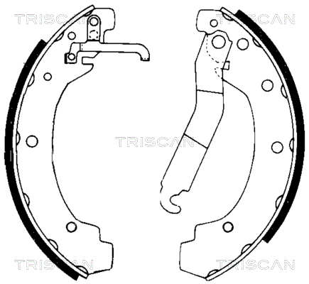 TRISCAN Fékpofa 810029004_TRIS