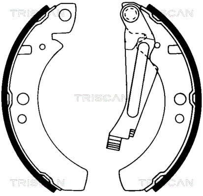 TRISCAN Fékpofa 810029266_TRIS