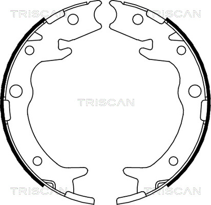 TRISCAN Fékpofa 810040005_TRIS