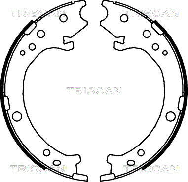 TRISCAN Fékpofa 810040007_TRIS