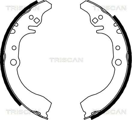 TRISCAN Fékpofa 810041617_TRIS