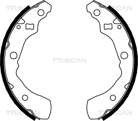 TRISCAN Fékpofa 810041618_TRIS