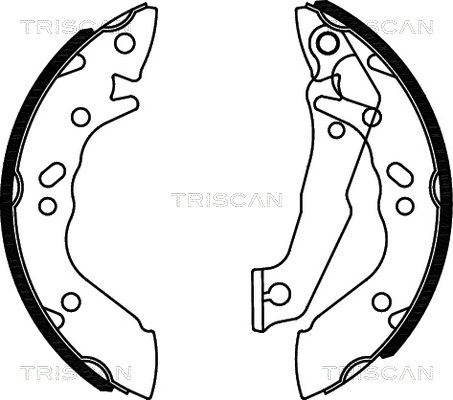 TRISCAN Fékpofa 810043560_TRIS