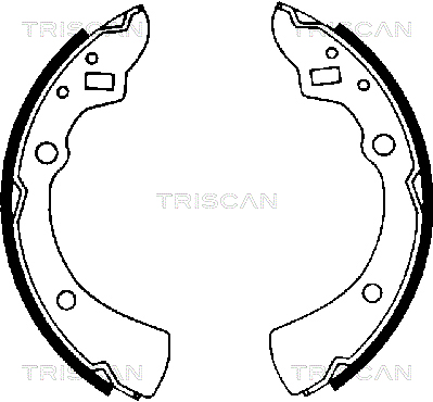 TRISCAN Fékpofa 810050359_TRIS