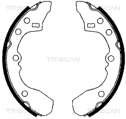 TRISCAN Fékpofa 810050434_TRIS