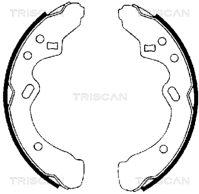 TRISCAN Fékpofa 810050438_TRIS