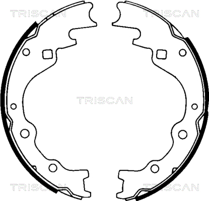 TRISCAN Fékpofa 810050461_TRIS