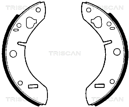 TRISCAN Fékpofa 810065011_TRIS