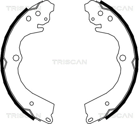 TRISCAN Fékpofa 810068005_TRIS