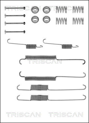 TRISCAN Tartozékkészlet, fékpofa 8105102508_TRIS