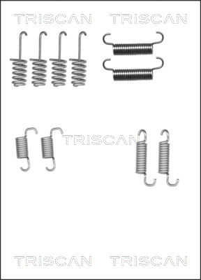 TRISCAN Tartozékkészlet, fékpofa 8105102616_TRIS