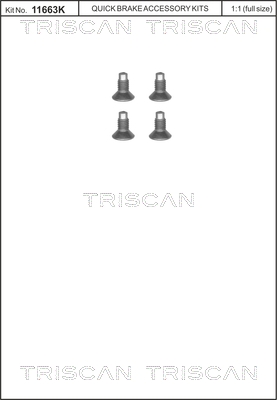 TRISCAN Csavar, féktárcsához 8105116004_TRIS