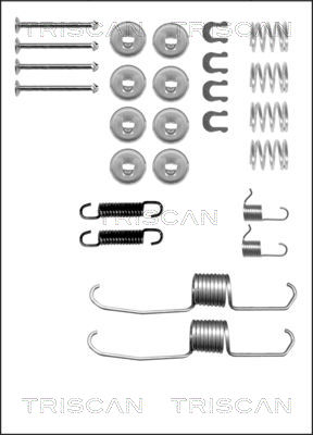 TRISCAN Tartozékkészlet, fékpofa 8105132505_TRIS