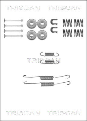 TRISCAN Tartozékkészlet, fékpofa 8105132587_TRIS