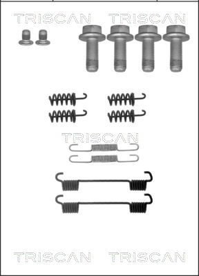 TRISCAN Tartozékkészlet, fékpofa 8105232565_TRIS