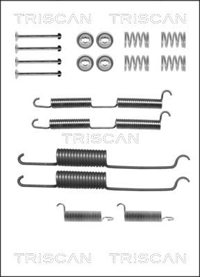 TRISCAN Tartozékkészlet, fékpofa 8105252569_TRIS