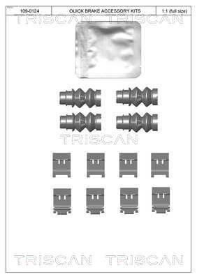 TRISCAN Tartozékkészlet, tárcsafékbetét 8105281601_TRIS