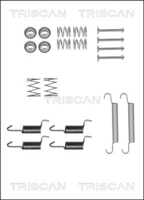 TRISCAN Tartozékkészlet, fékpofa 8105432588_TRIS