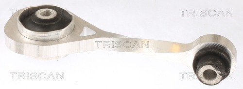 TRISCAN Motortartó bak 850510111_TRIS