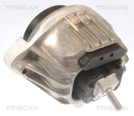 TRISCAN Motortartó bak 850511105_TRIS