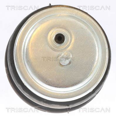 TRISCAN Motortartó bak 850511113_TRIS