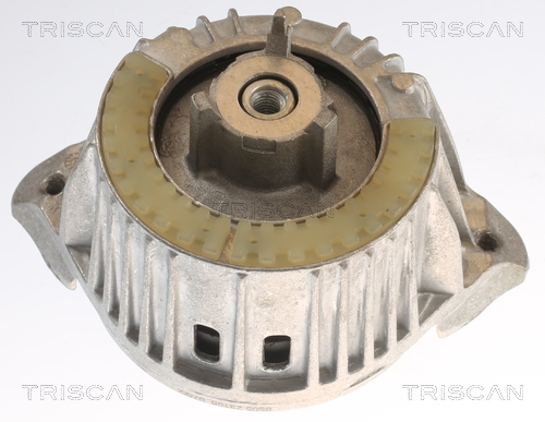 TRISCAN Motortartó bak 850523108_TRIS