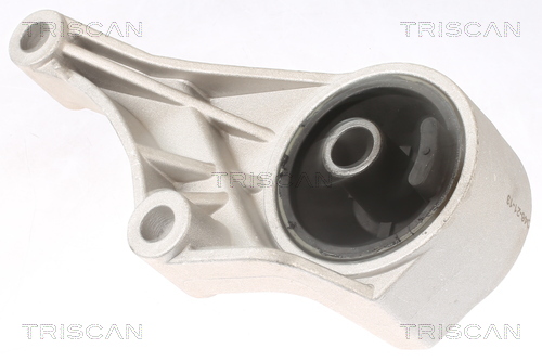 TRISCAN Motortartó bak 850524100_TRIS