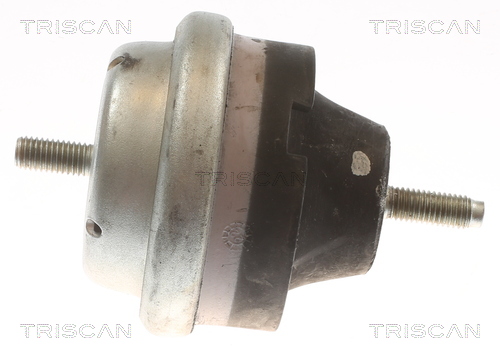 TRISCAN Motortartó bak 850528114_TRIS