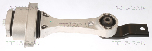 TRISCAN Motortartó bak 850529100_TRIS