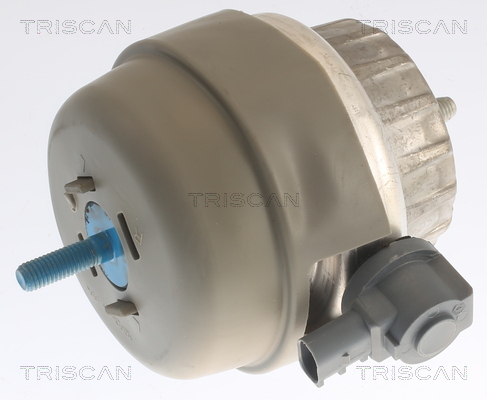 TRISCAN Motortartó bak 850529141_TRIS