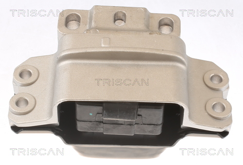 TRISCAN Motortartó bak 850529148_TRIS