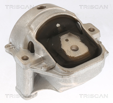 TRISCAN Motortartó bak 850529155_TRIS