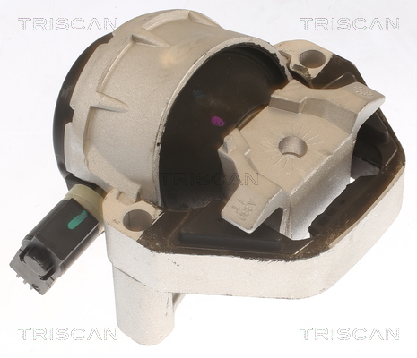 TRISCAN Motortartó bak 850529170_TRIS