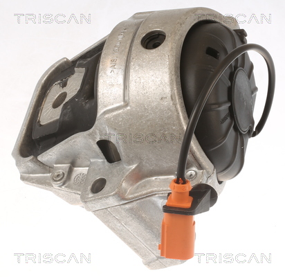 TRISCAN Motortartó bak 850529178_TRIS