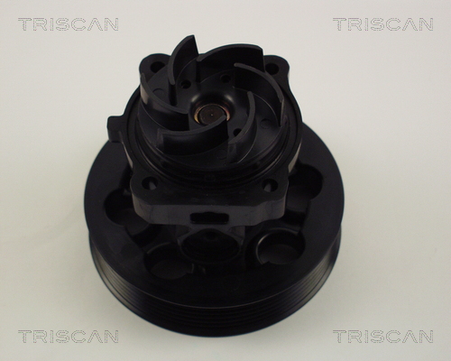 TRISCAN Vízpumpa 860015030_TRIS