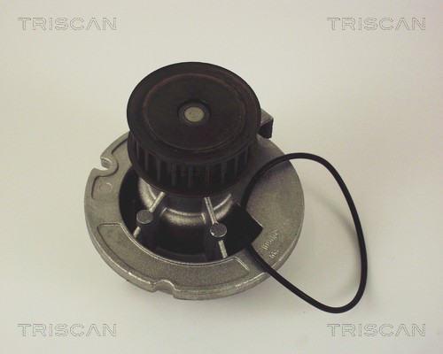 TRISCAN Vízpumpa 860024010_TRIS