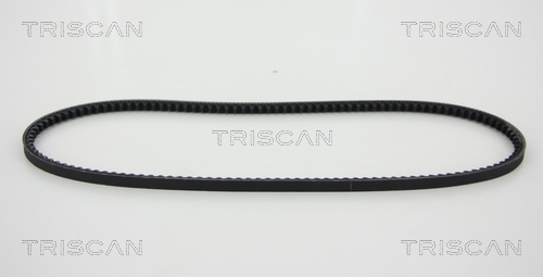 TRISCAN Ékszíj 8640100960_TRIS