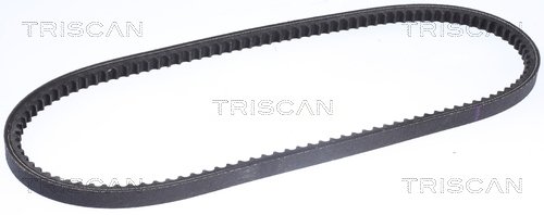 TRISCAN 8640130875_TRIS Ékszíj