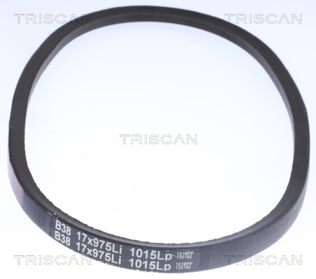 TRISCAN Ékszíj 8640171045_TRIS